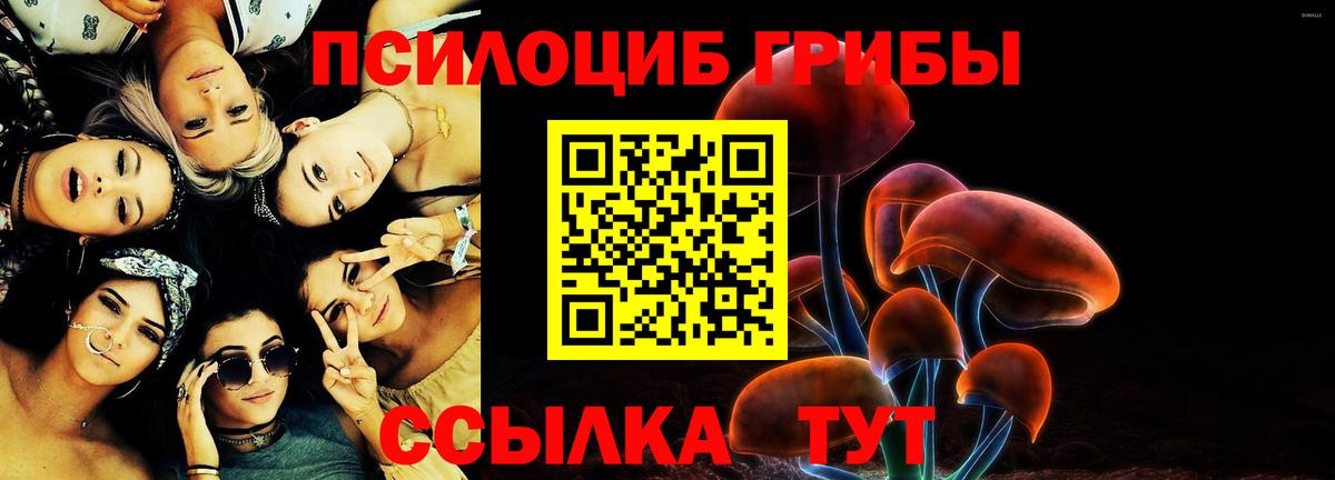 Кропоткин  как найти закладки  Вход с VPN  Галлюциногенные грибы Magic Shrooms 